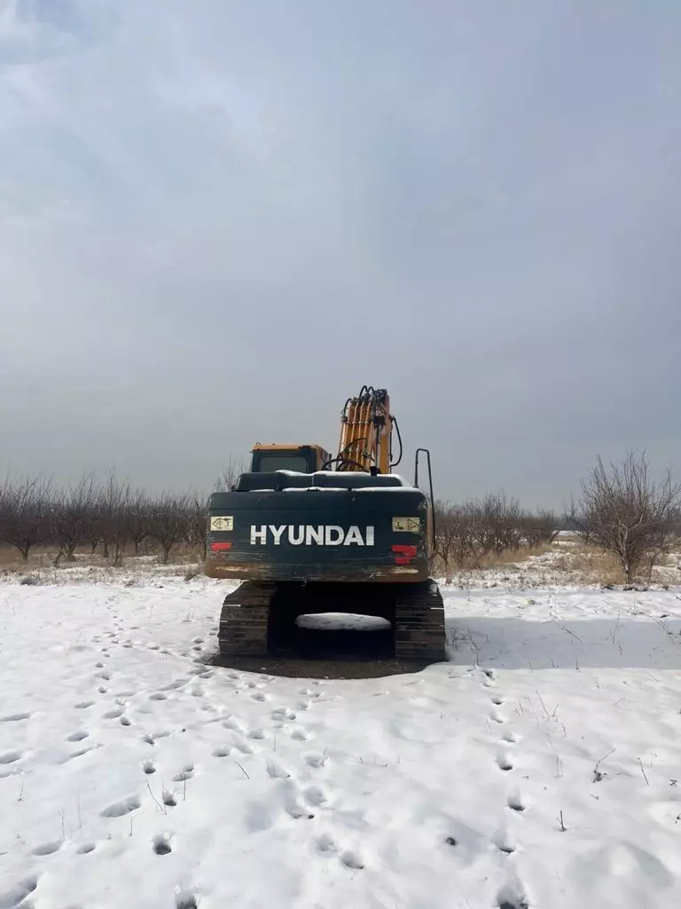 Hyundai R 220LC-9S, Гусеничные экскаваторы