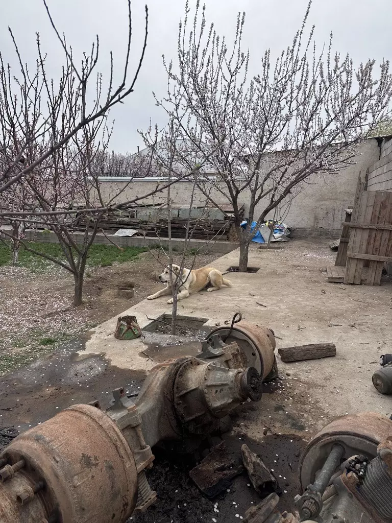 Хова запчасть