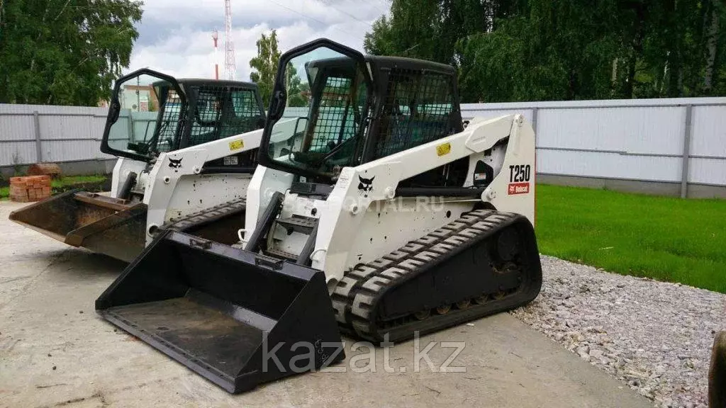 BOBCAT