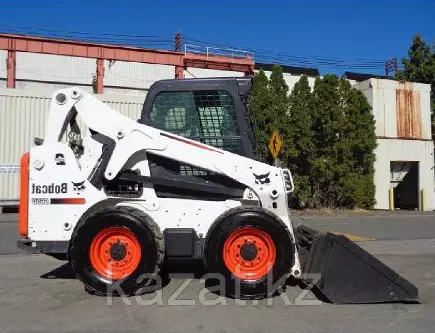 BOBCAT