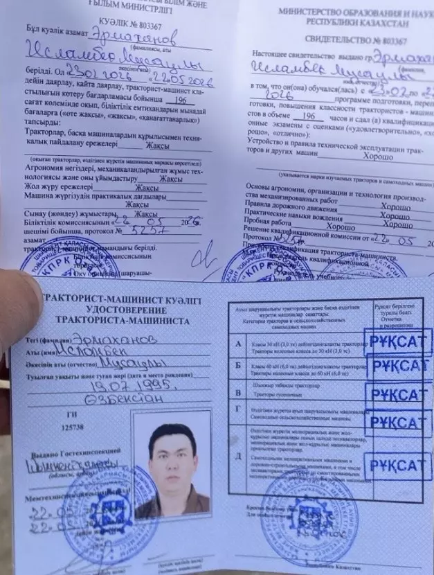 Гусеничные экскаваторы,Колесные экскаваторы,Экскаваторы-погрузчики,Мини-погрузчики