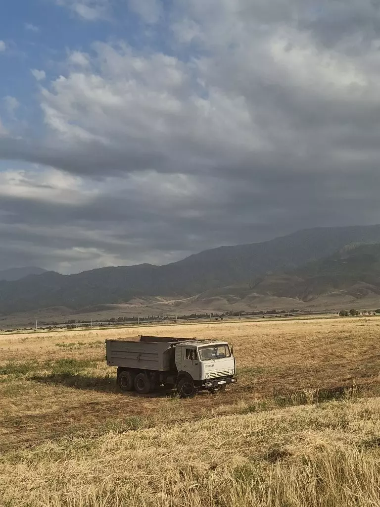 Фронтальные погрузчики,Самосвалы
