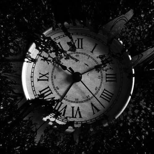 Фронтальные погрузчики,Мини-погрузчики,Дорожные катки,Вилочные автопогрузчики,Вилочные электропогрузчики,Люльки Cтроительные,Каток,Подъемники строительные