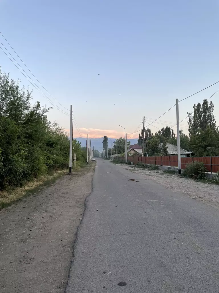 Гусеничные экскаваторы,Колесные экскаваторы