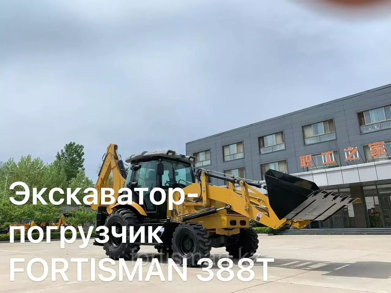 FORTISMAN 388T