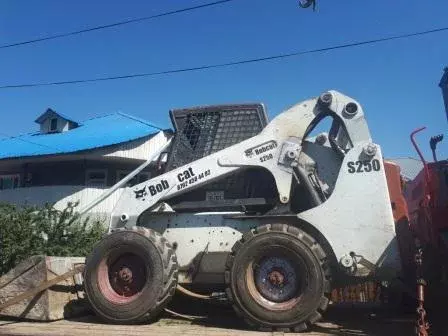 BOBCAT
