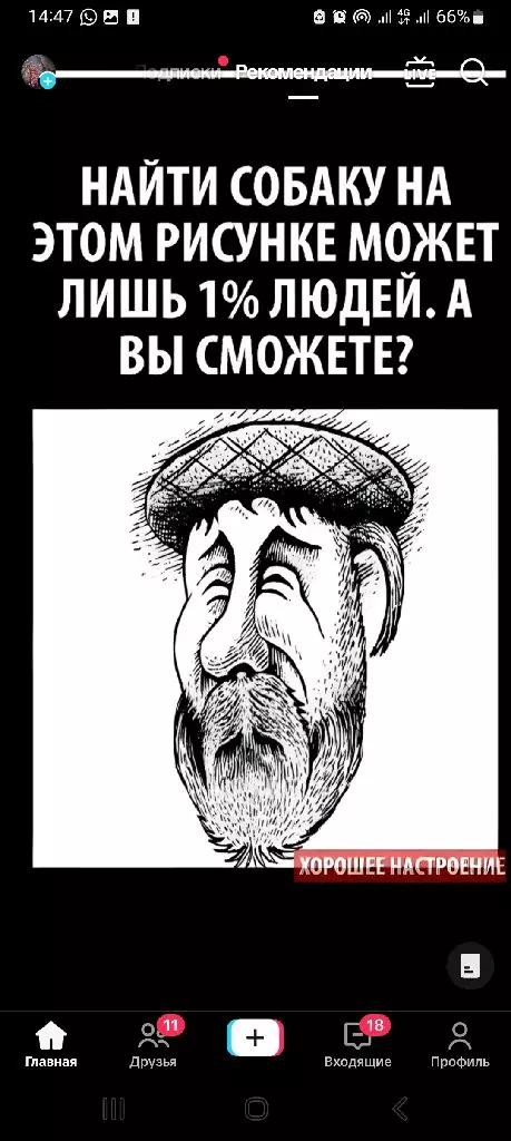 Фронтальные погрузчики
