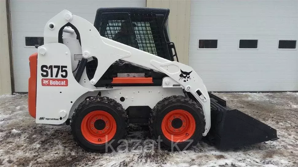 BOBCAT