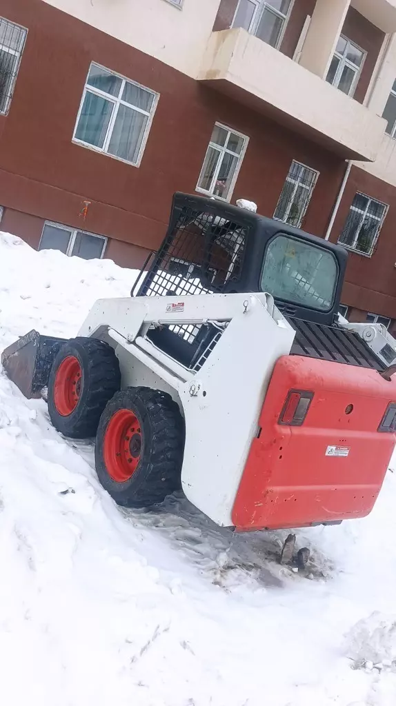 BOBCAT