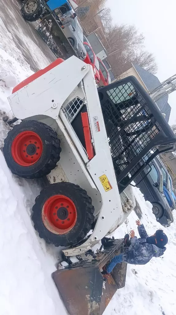 BOBCAT
