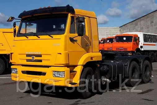 КАМАЗ 65116-6010-48(А5)