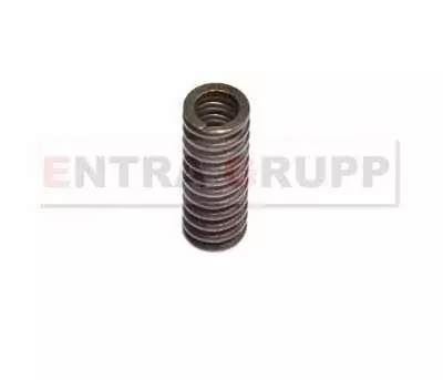 Пружина 125209 Код: 125209