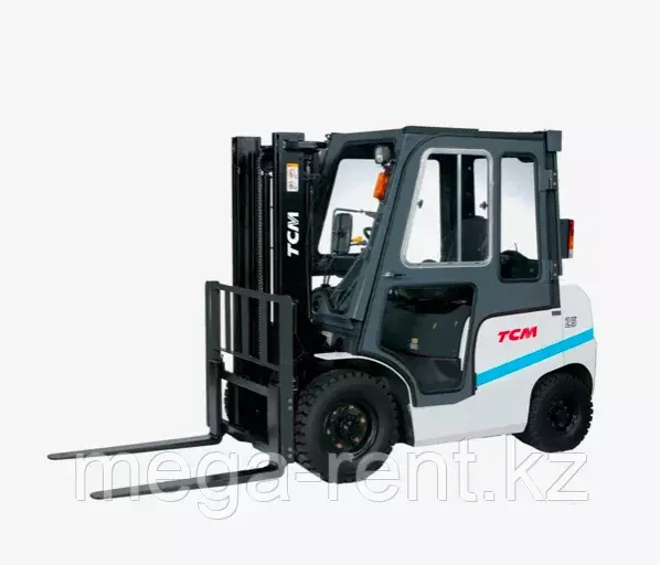 TCM FHD25, Мини-погрузчики