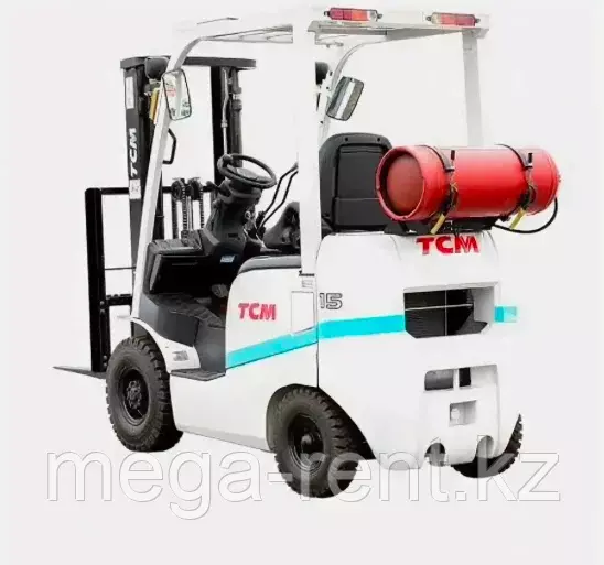 TCM FG15T3, Мини-погрузчики