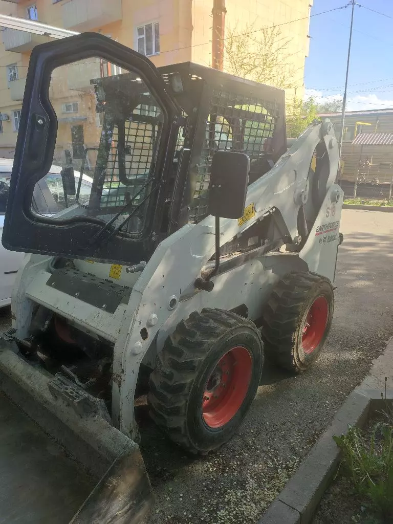 BOBCAT