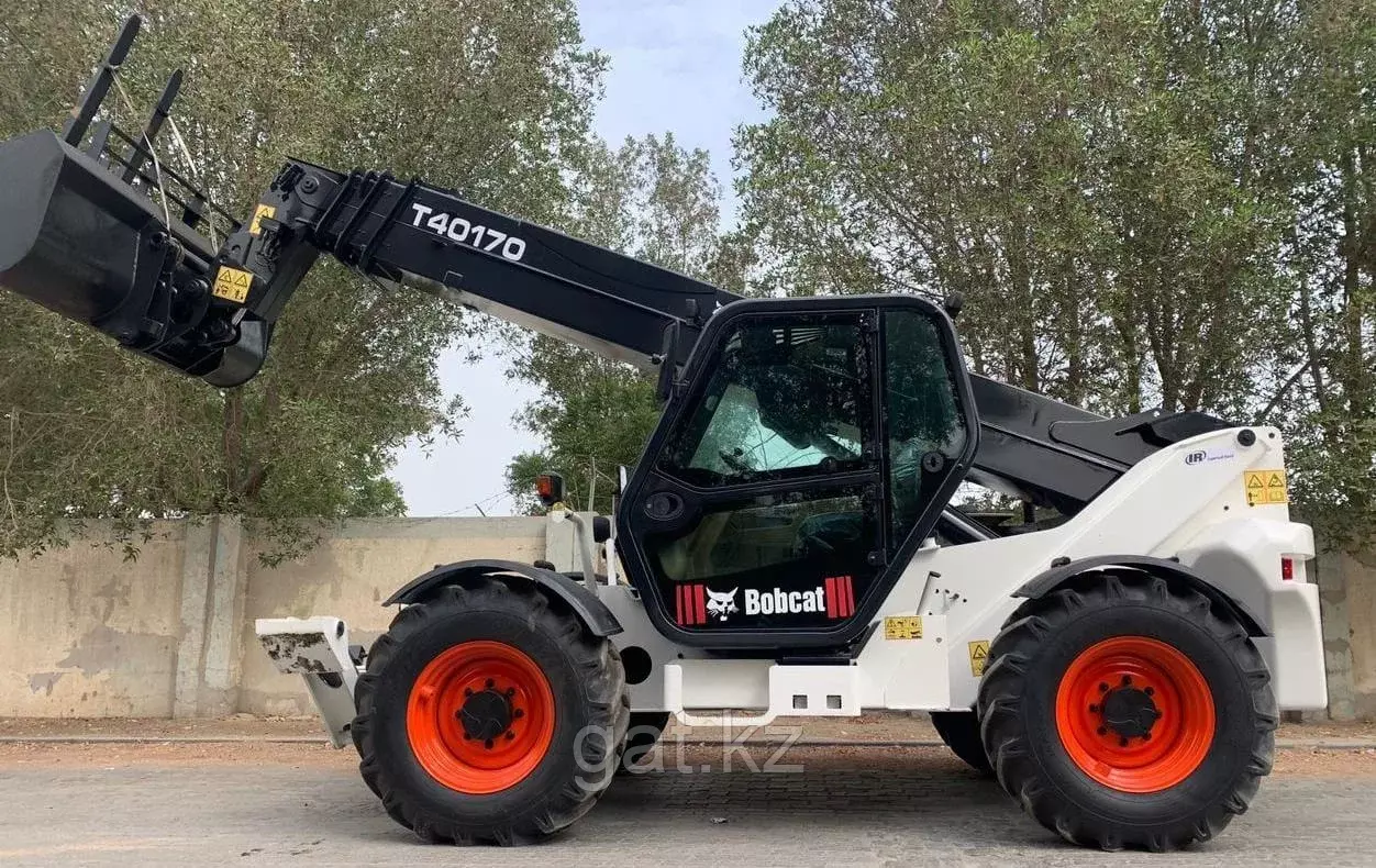 BOBCAT