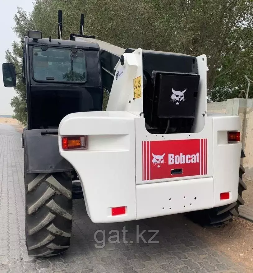 BOBCAT