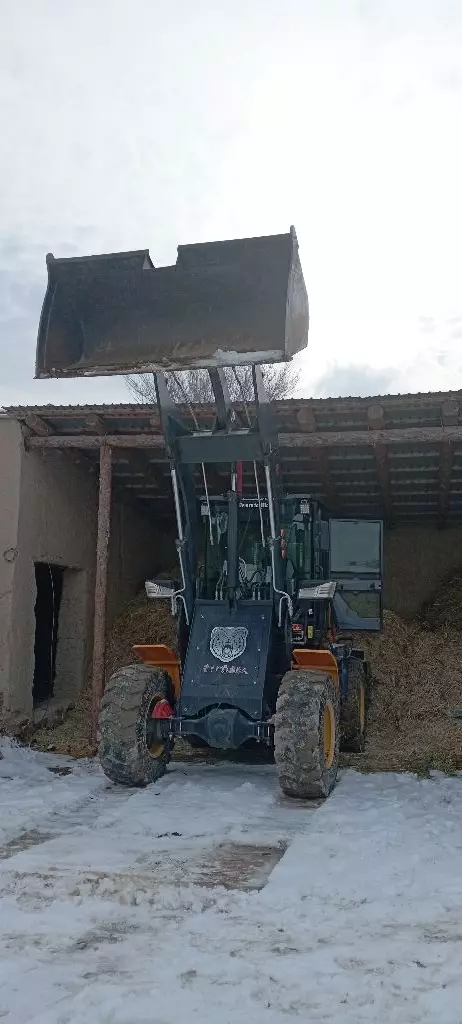 SDLG