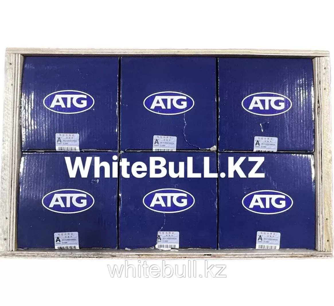 Поршневая группа Поршневая группа ATG WD615E2-4A-(010) 61260030010 Код: 61260030010