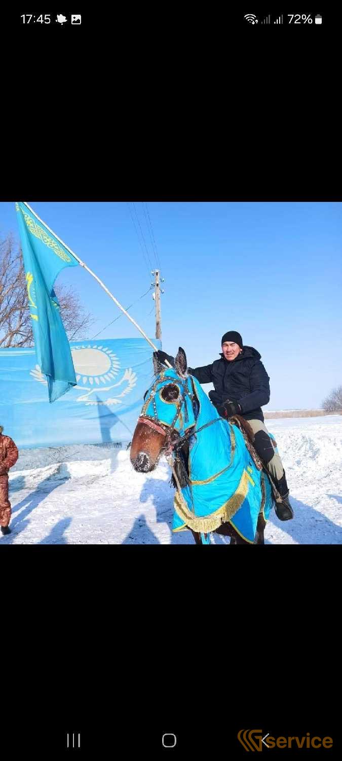 Автобетоносмесители,Тракторы,Бортовые полуприцепы,Полуприцепы-рефрижераторы,Полуприцепы-топливозаправщики,Тентованные полуприцепы,Самосвальные прицепы,Бензовозы,Самосвалы,Тягачи седельные,Пассажирские микроавтобусы