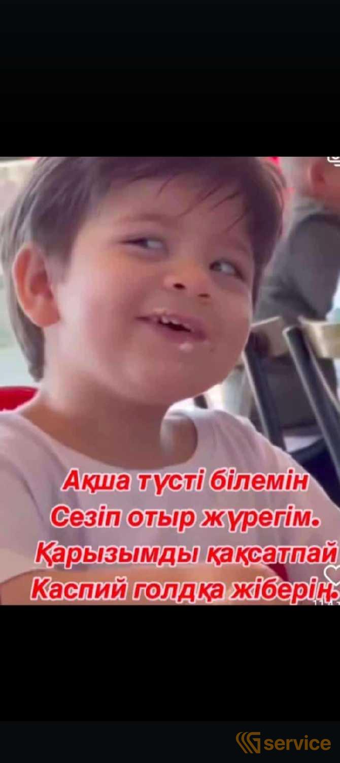 Грейдеры,Гусеничные экскаваторы,Колесные экскаваторы,Траншейные экскаваторы,Фронтальные погрузчики,Экскаваторы-погрузчики,Мини-погрузчики,Мини-экскаваторы,Самосвалы,Дорожные катки,Вилочные автопогрузчики