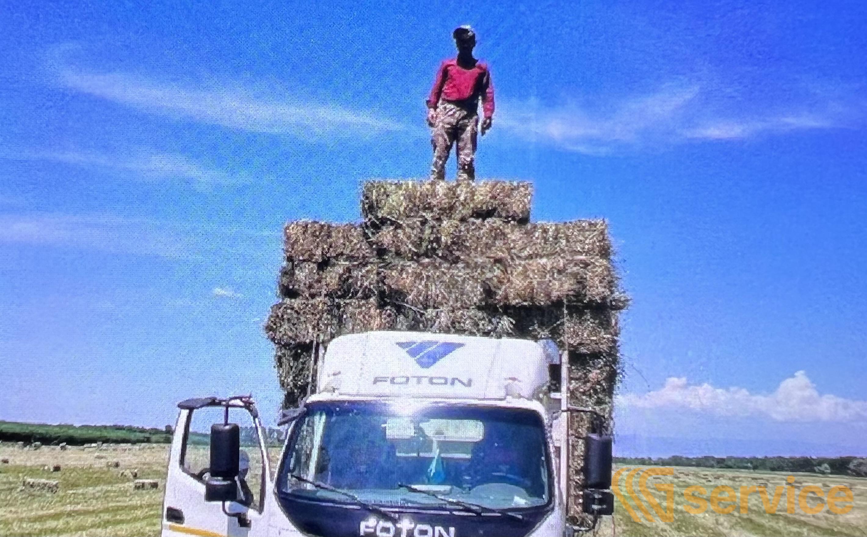 FOTON (FORLAND)