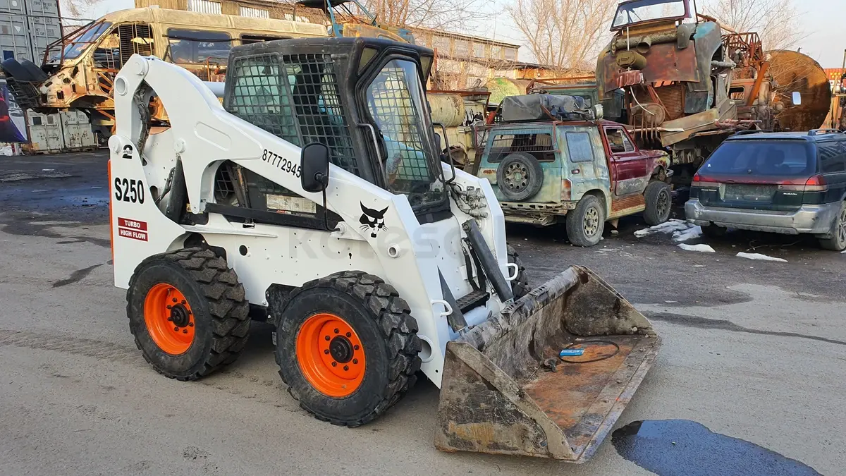 BOBCAT