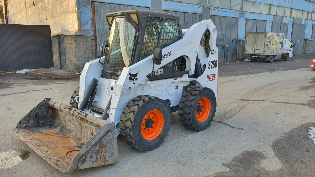 BOBCAT