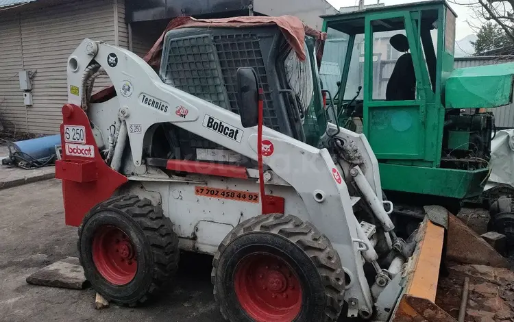 BOBCAT