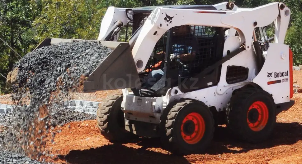 BOBCAT