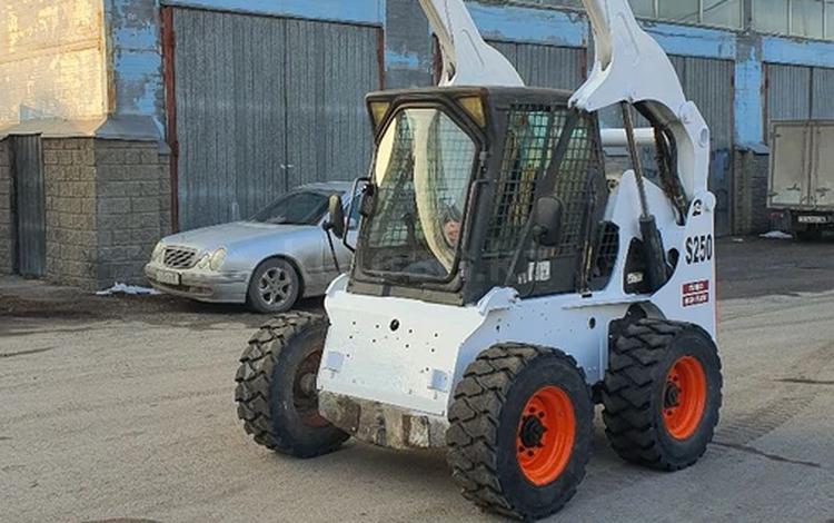 BOBCAT