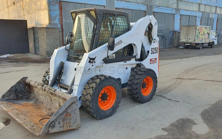 BOBCAT