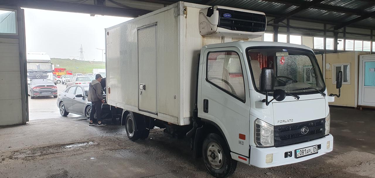 FOTON (FORLAND)