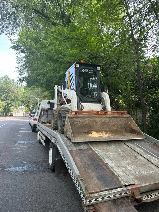 BOBCAT