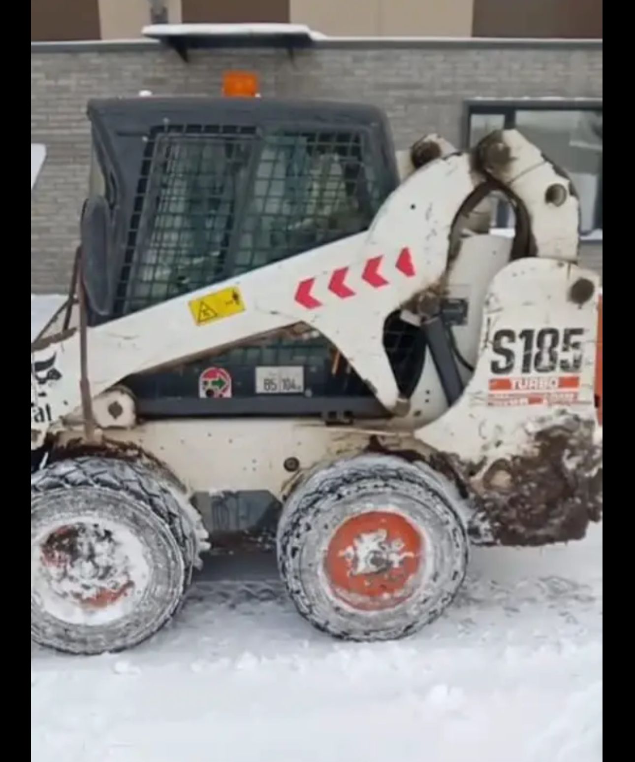 BOBCAT