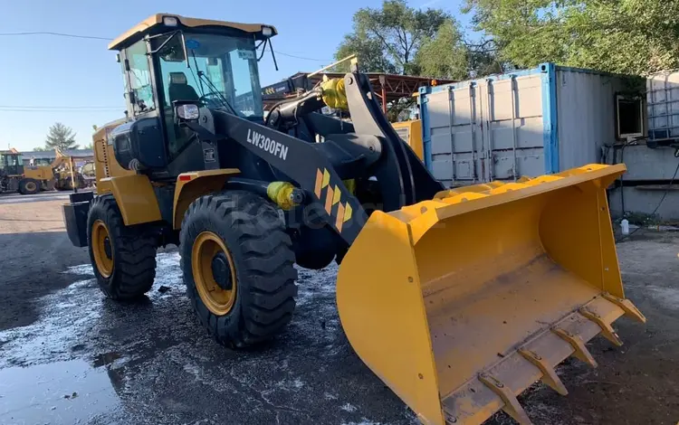 XCMG LW300FN