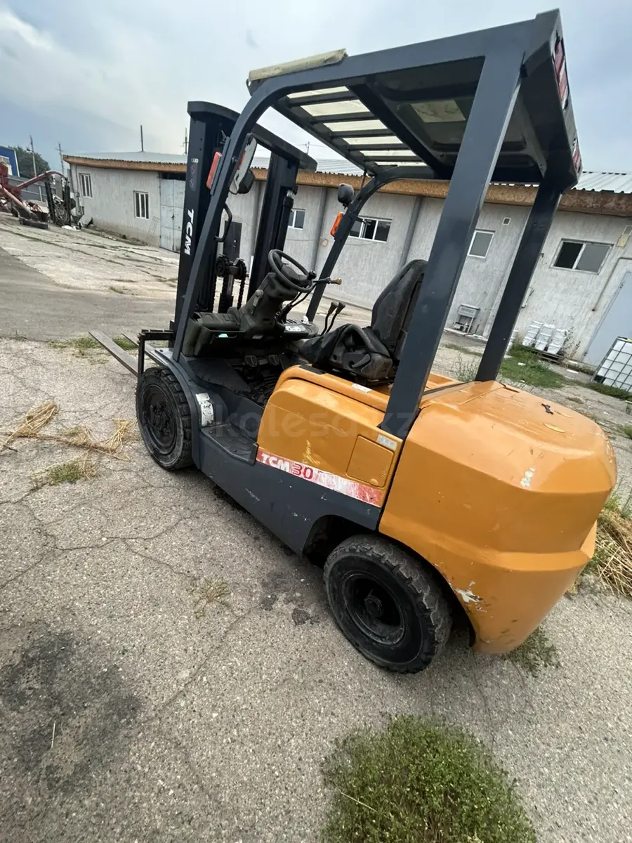 TCM FD30
