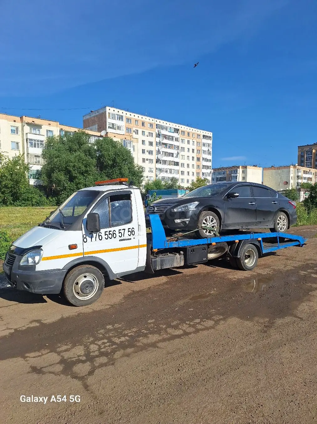 ГАЗ 3302 Т17