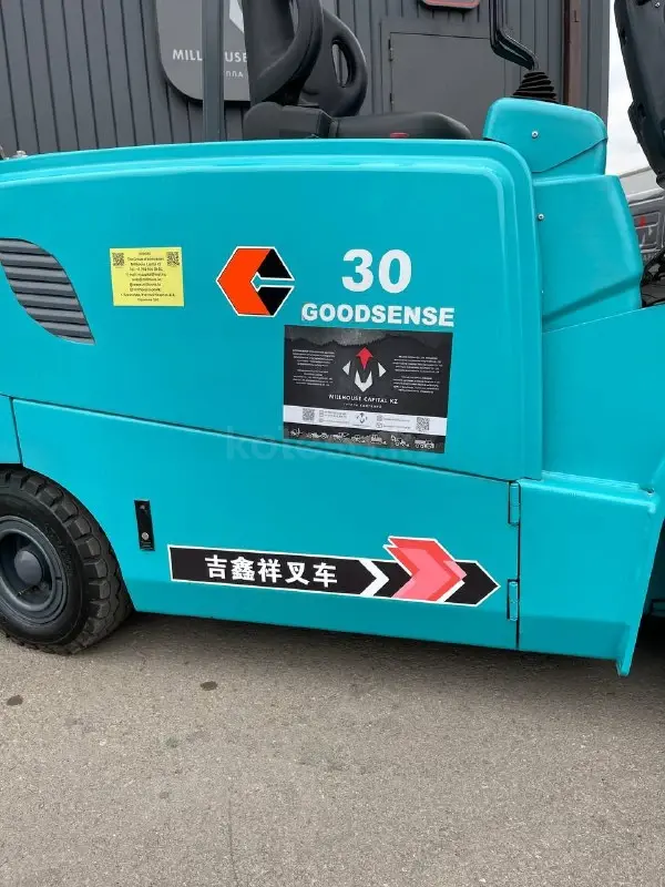 Goodsense FB30