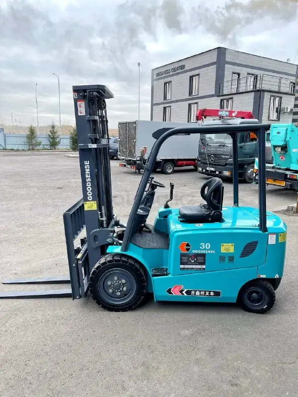 Goodsense FB30