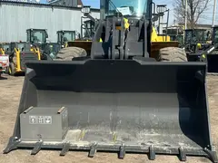 XCMG LW300