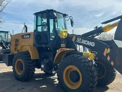 XCMG LW300