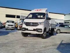 Dongfeng T3Q