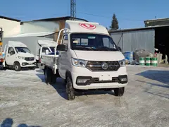 Dongfeng T3Q