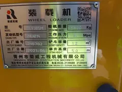 Rongwei ZL938SM