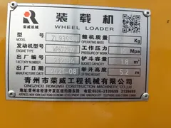 Rongwei ZL938SM