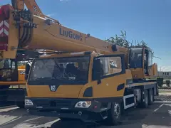LiuGong LTC250T5